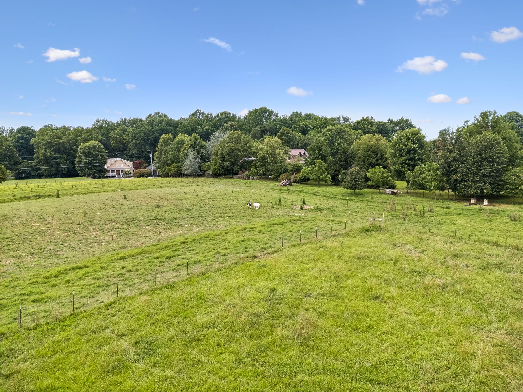 3384 Maxie Jones Road Springfield, TN 37172 - Photo 59 of 66