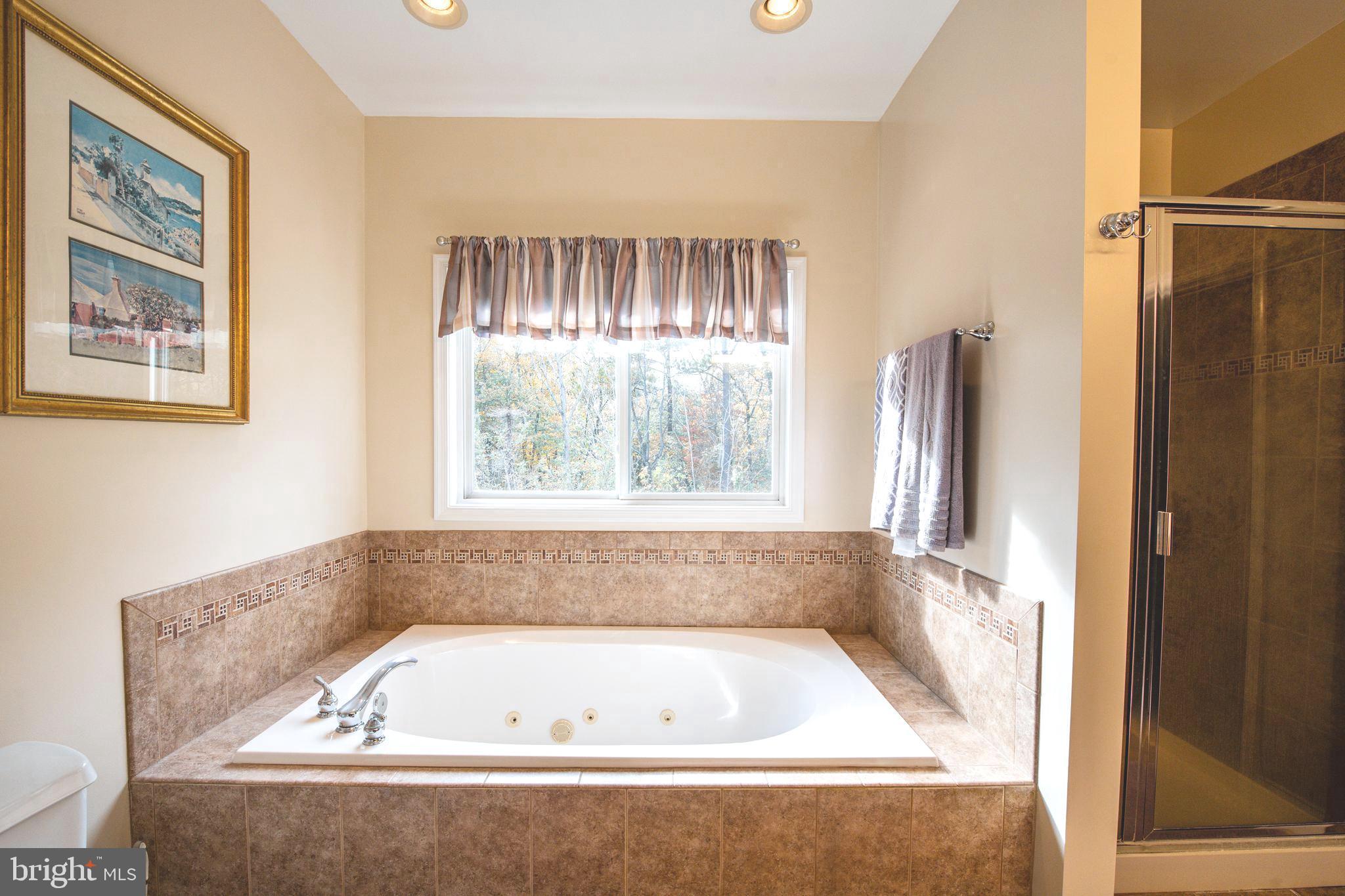 7019 Saw Mill Road Lusby, MD 20657 - Photo 24 of 64 Soaking Tub