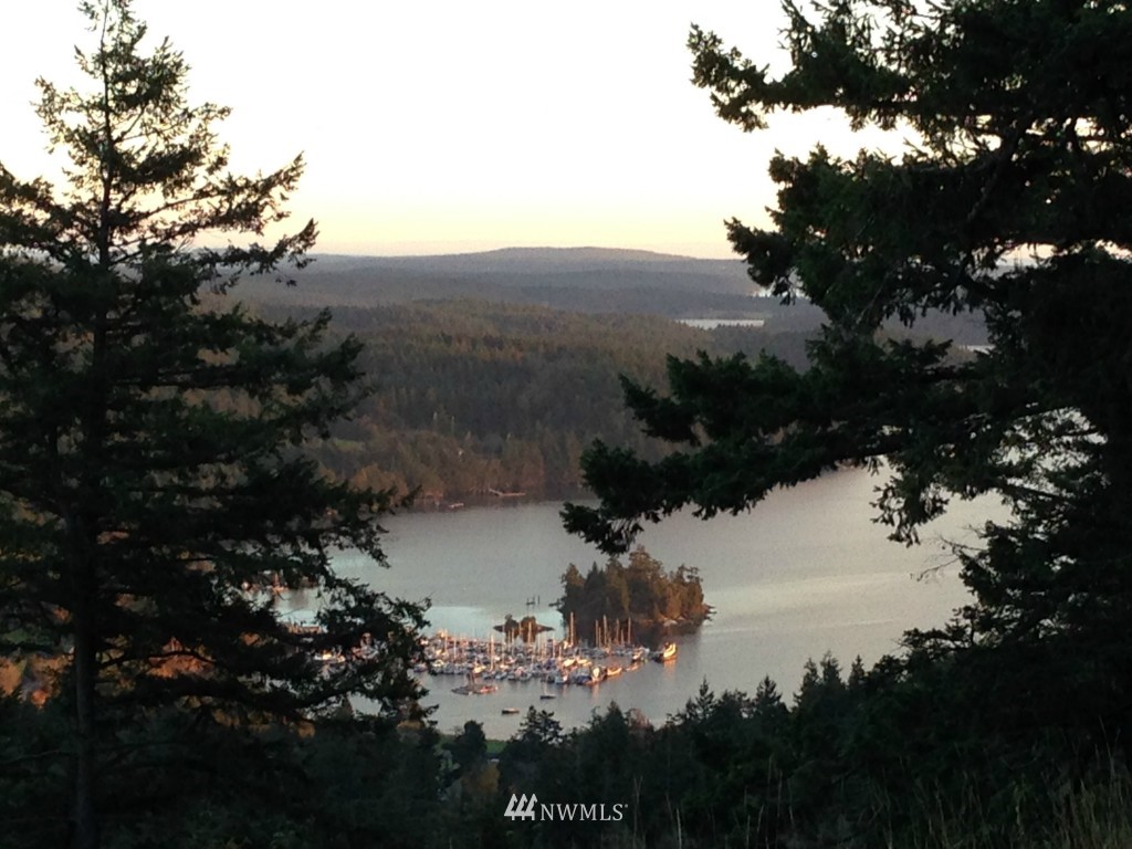 300 Bobbyann Road Orcas Island, WA 98243 - Photo 1 of 6 Gallery Image 1