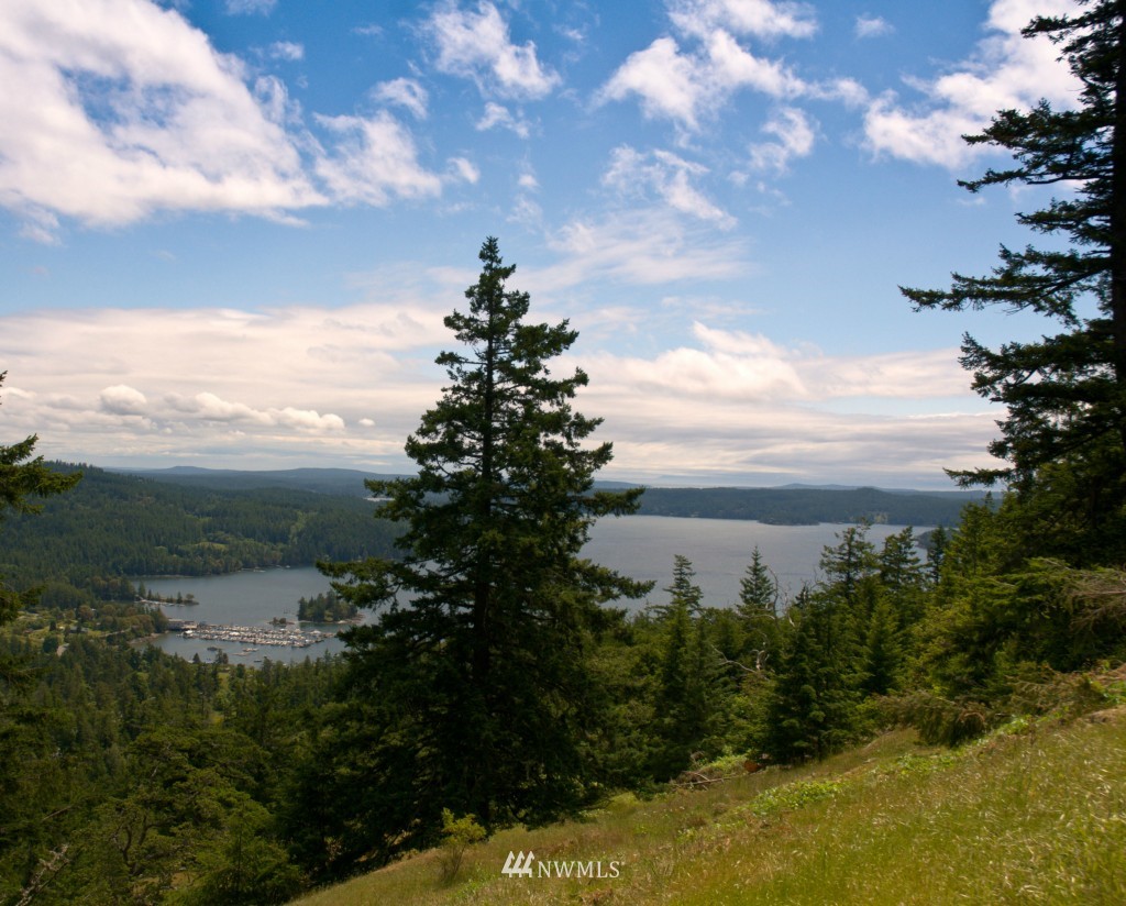 300 Bobbyann Road Orcas Island, WA 98243 - Photo 3 of 6 Gallery Image 3