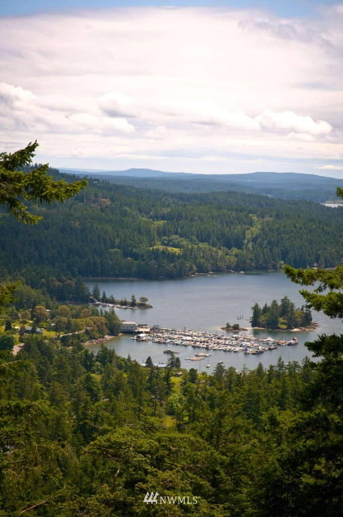 300 Bobbyann Road Orcas Island, WA 98243 - Photo 4 of 6 Gallery Image 4