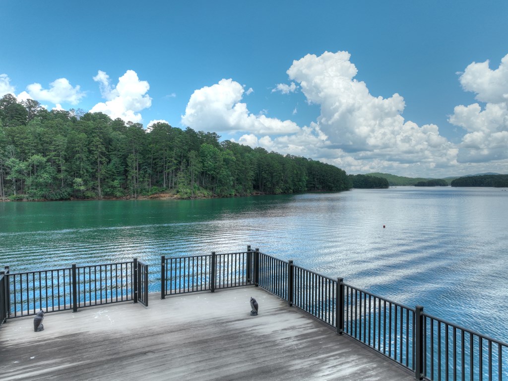 55 Fern Cove Blue Ridge, GA 30513 - Photo 47 of 51 Gallery Image 47
