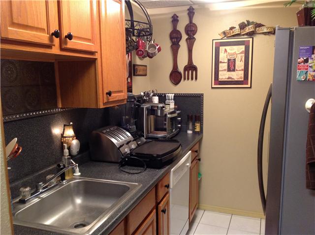 1641 Errel Dowlen Road Pleasant View, TN 37146 - Photo 3 of 20 This is the downstairs full galley style kitchen. All appliances convey except for the refrigerator.
