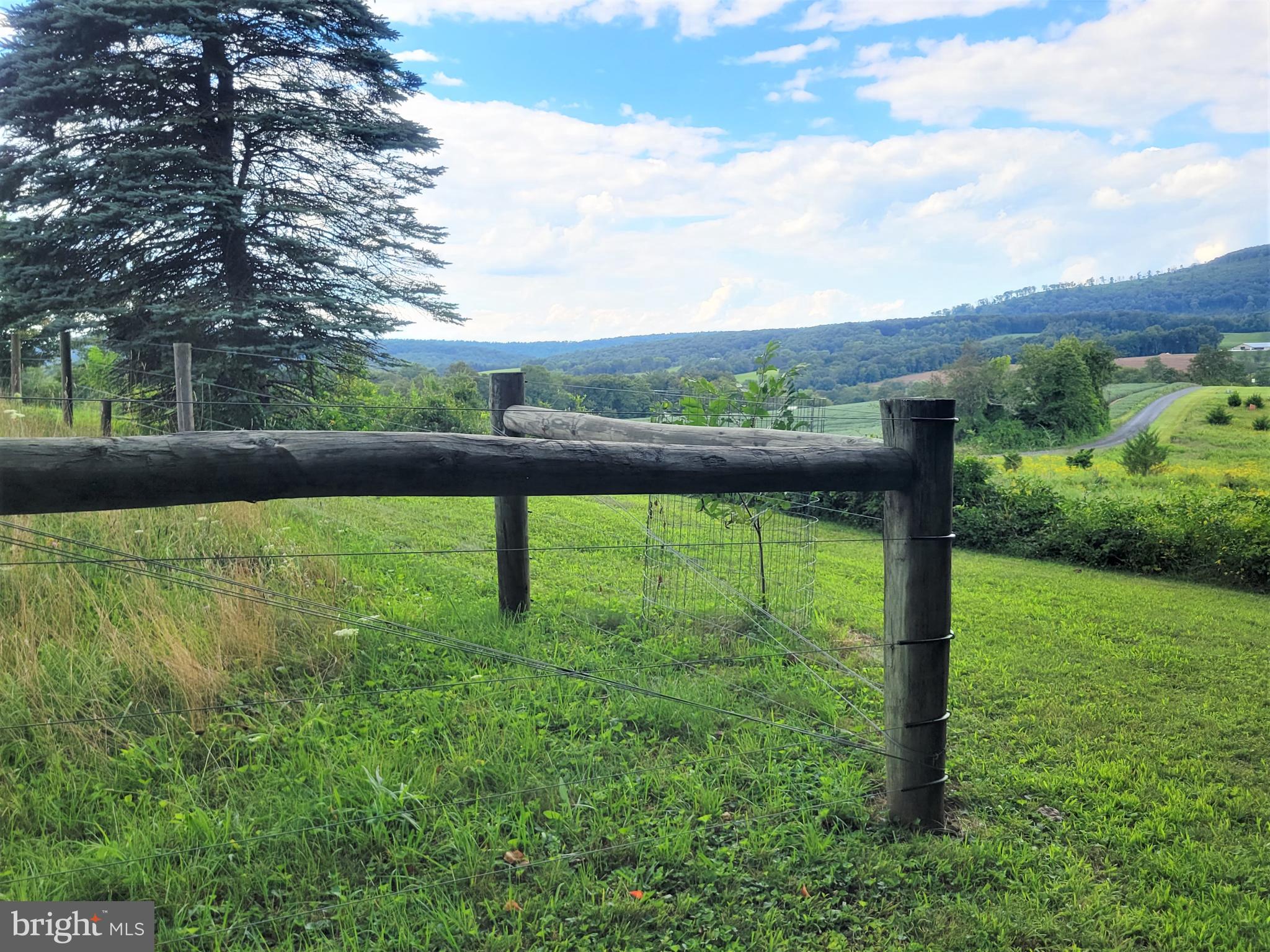 3428 Valley Road Marysville, PA 17053 - Photo 42 of 49 Did I mention the amazing views ?