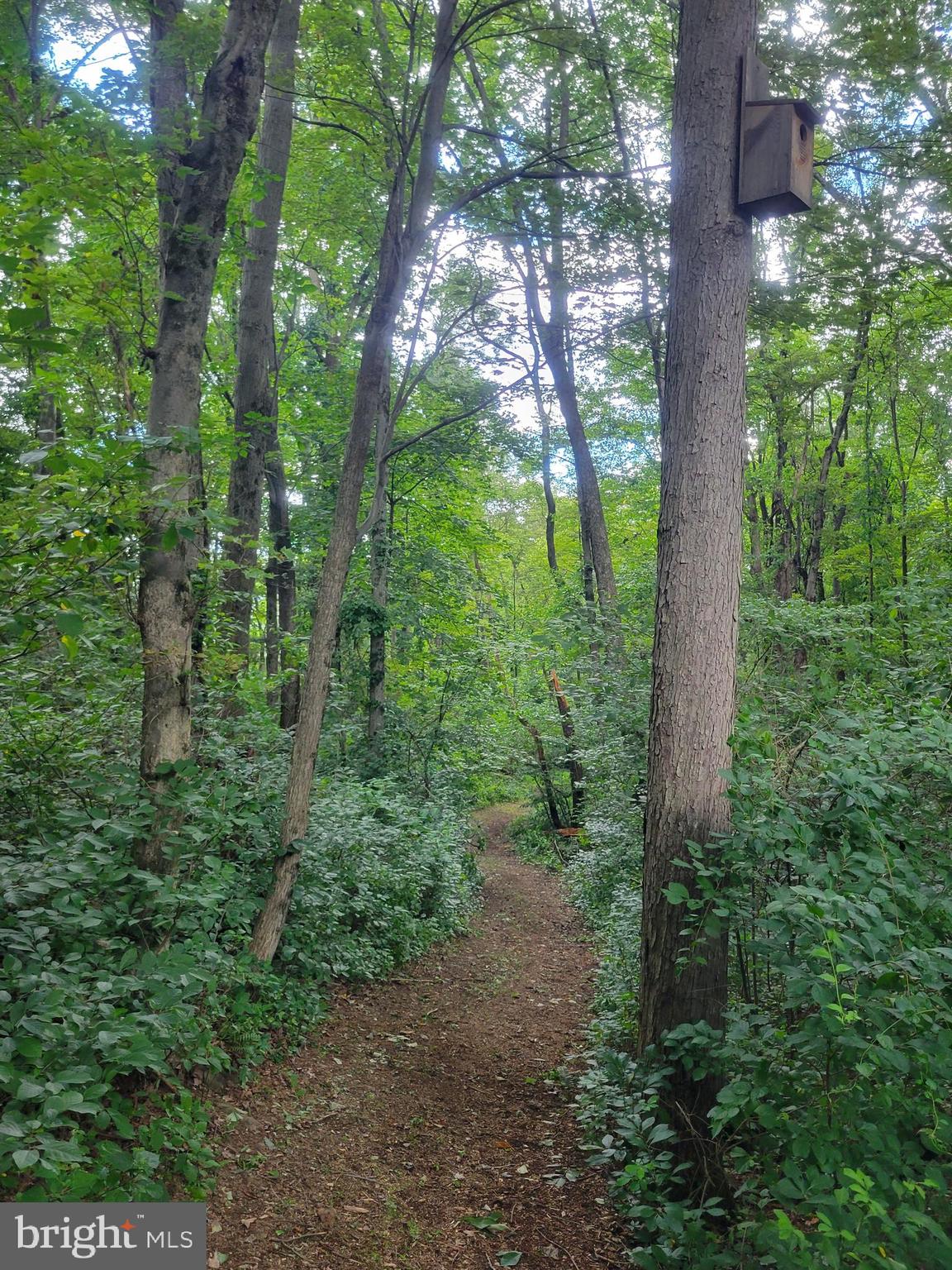 3428 Valley Road Marysville, PA 17053 - Photo 46 of 49 ...goes through the woods...