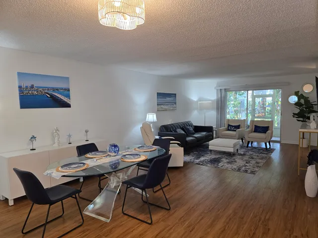 a living room with furniture a rug potted plant and a window