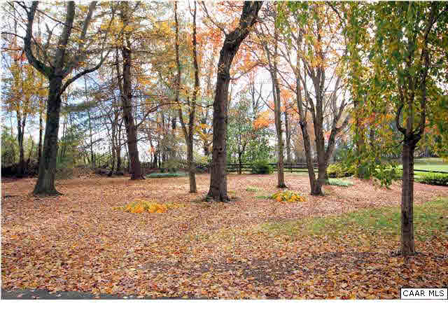 6915 Wolftown-Hood Road Madison, VA 22727 - Photo 30 of 36 Beautiful Front Yard