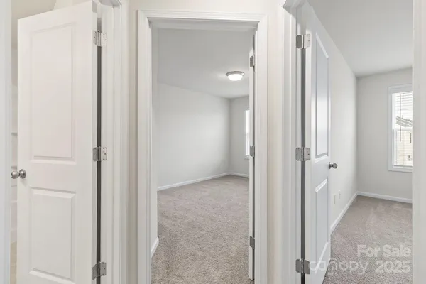 a bathroom with a shower curtain and a shower