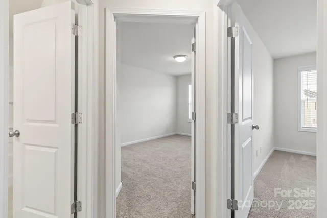 a bathroom with a shower curtain and a shower