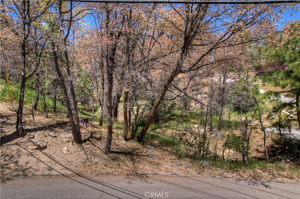 27998 West Shore Road Lake Arrowhead, CA 92352 - Photo 7 of 12
