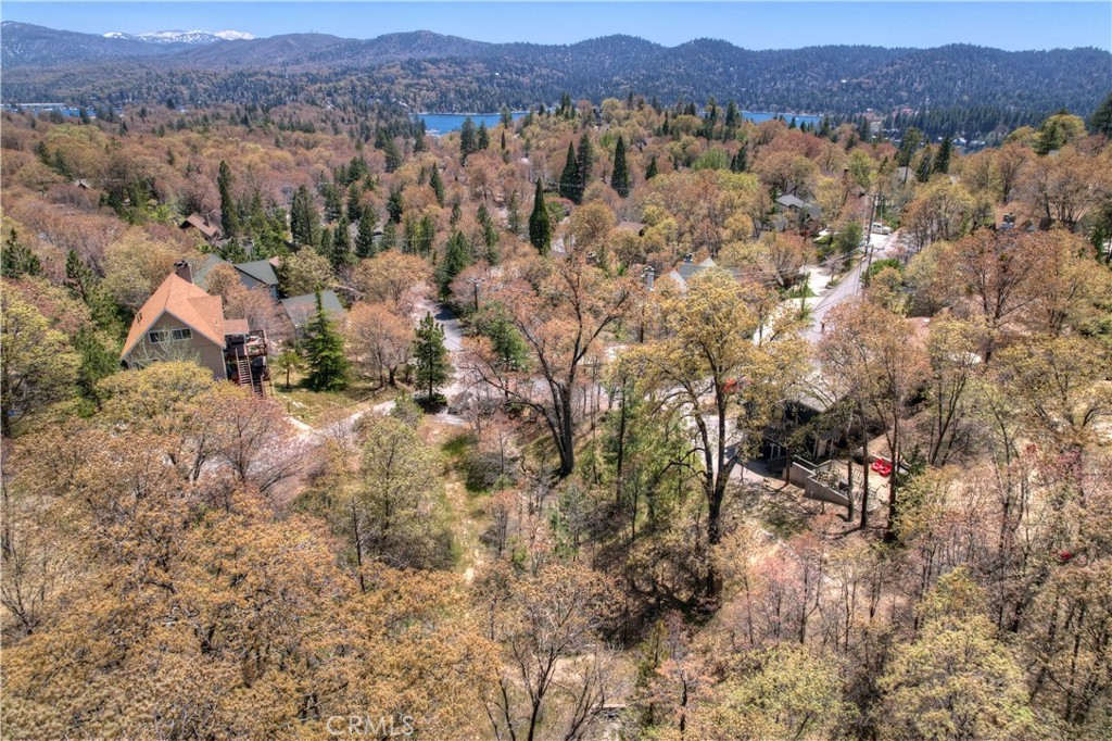 27998 West Shore Road Lake Arrowhead, CA 92352 - Photo 8 of 12