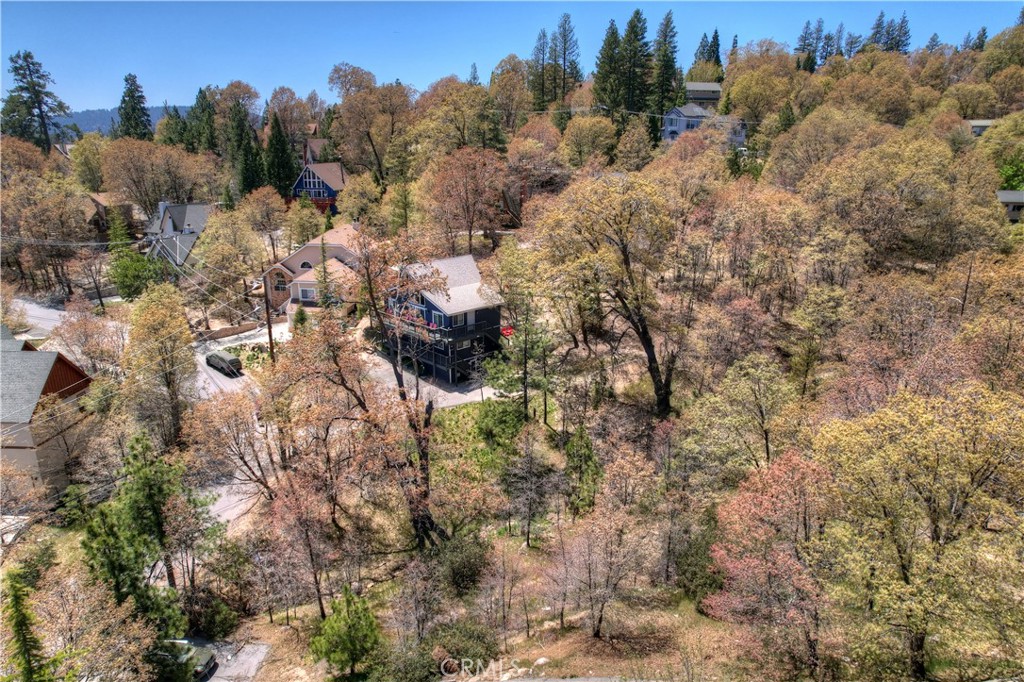27998 West Shore Road Lake Arrowhead, CA 92352 - Photo 9 of 12