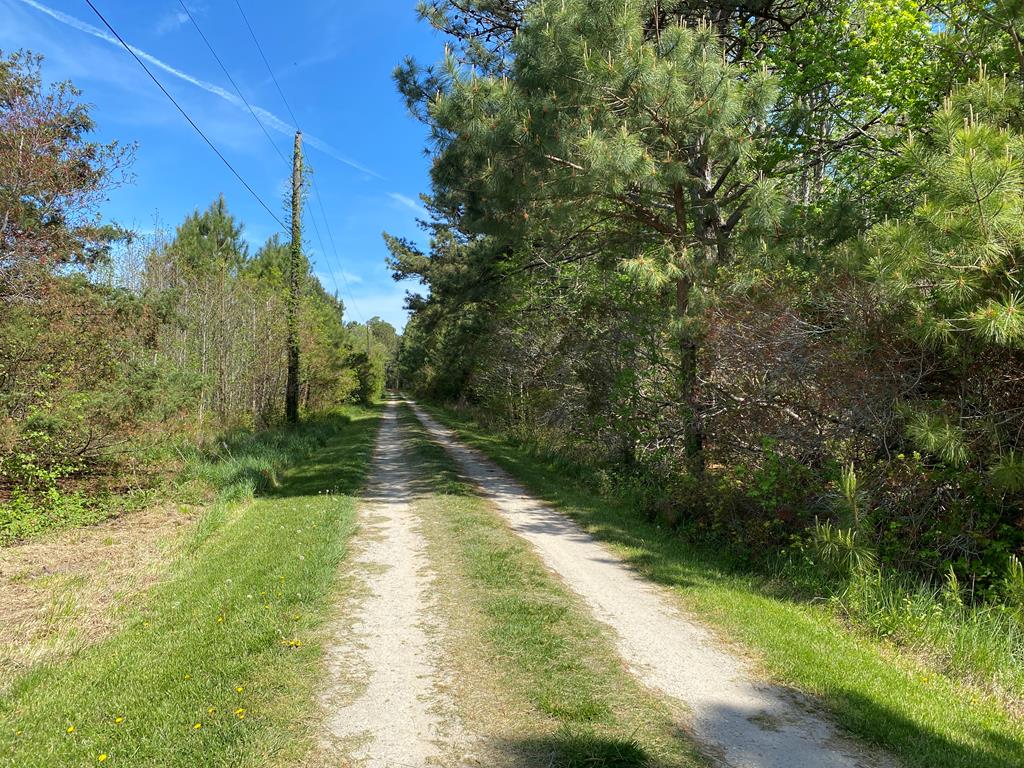 Lot 55 Back Creek Road, Unit 55B Hacksneck, VA 23358 - Photo 17 of 20