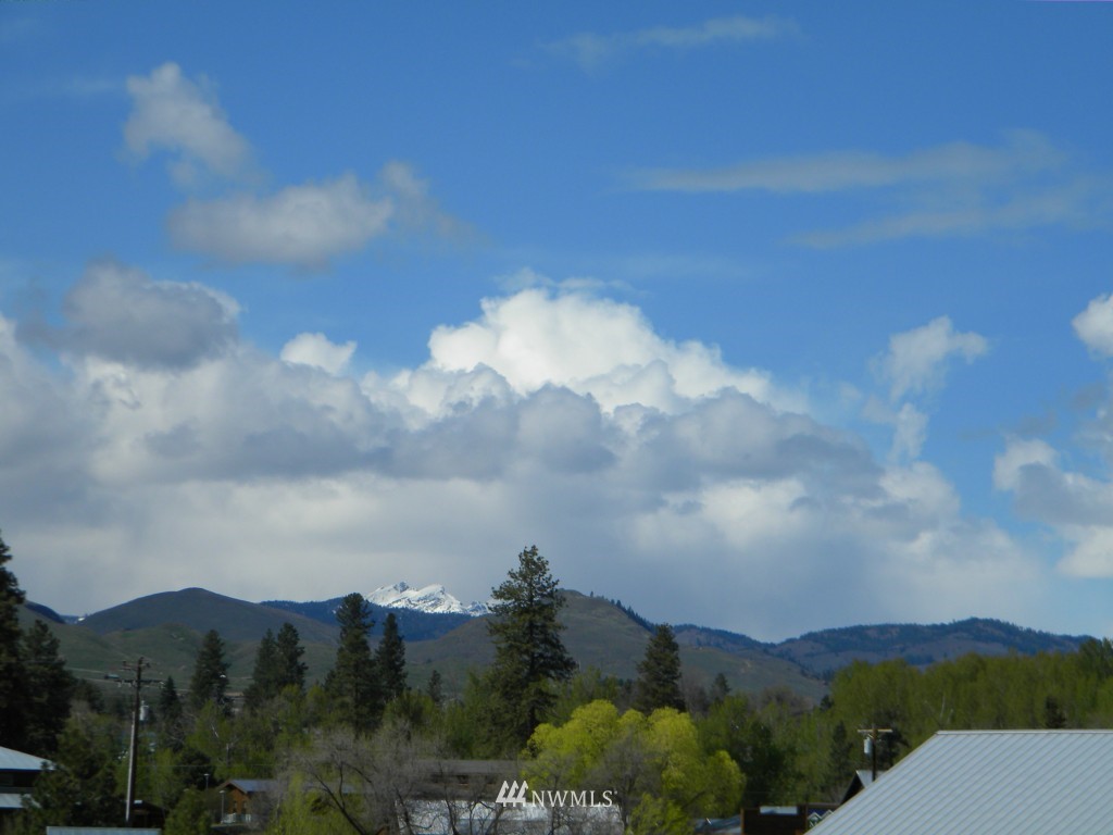0 State Rte 20 Highway Winthrop, WA 98862 - Photo 11 of 19 Gallery Image 11