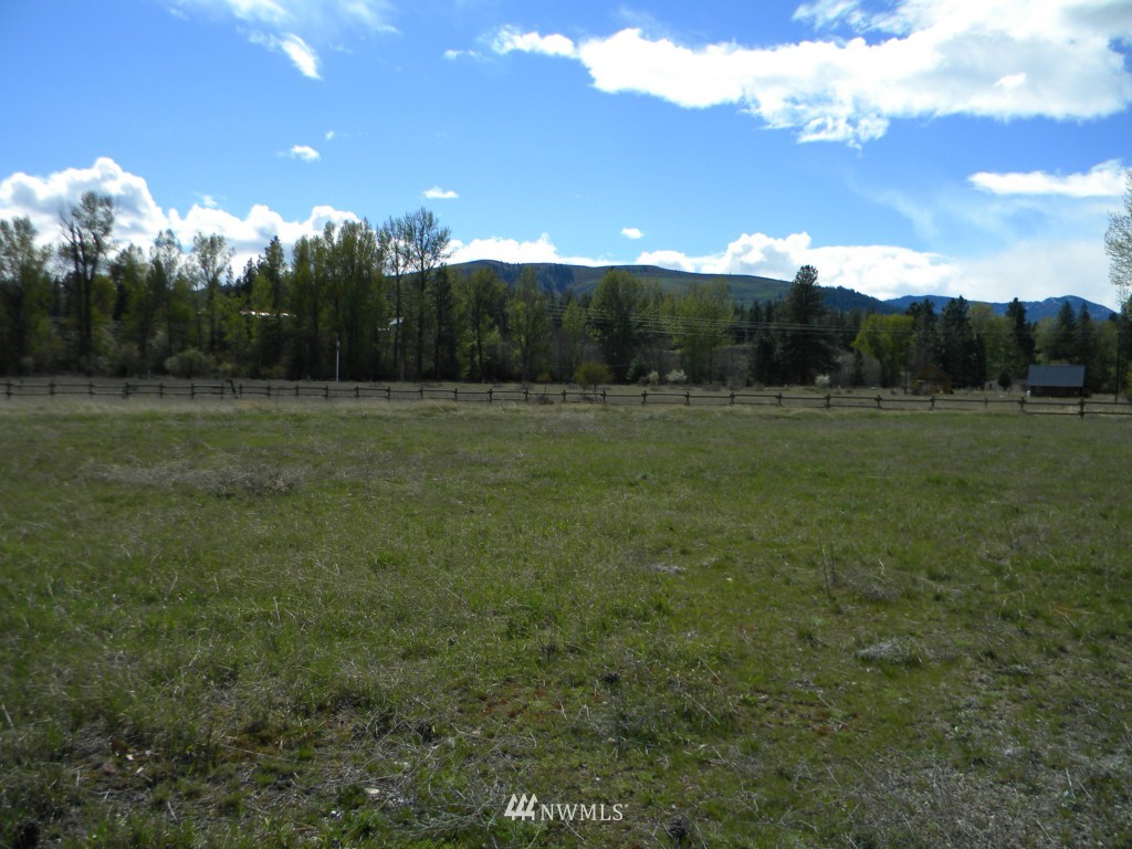 0 State Rte 20 Highway Winthrop, WA 98862 - Photo 16 of 19 Gallery Image 16