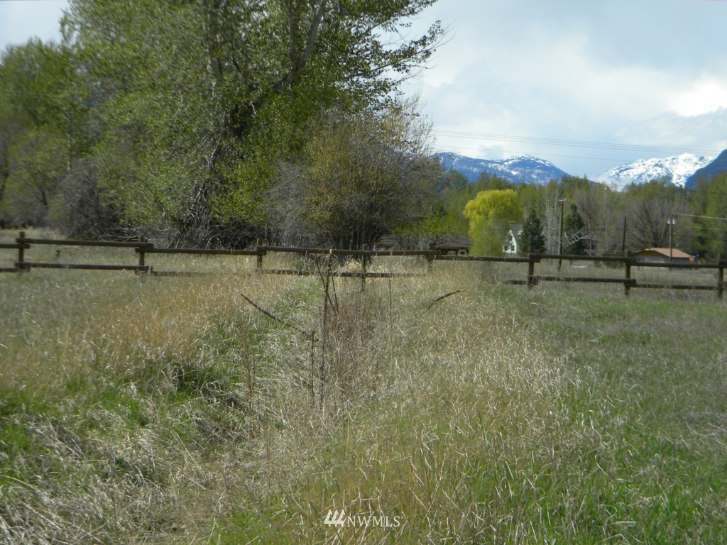 0 State Rte 20 Highway Winthrop, WA 98862 - Photo 4 of 19 Gallery Image 4