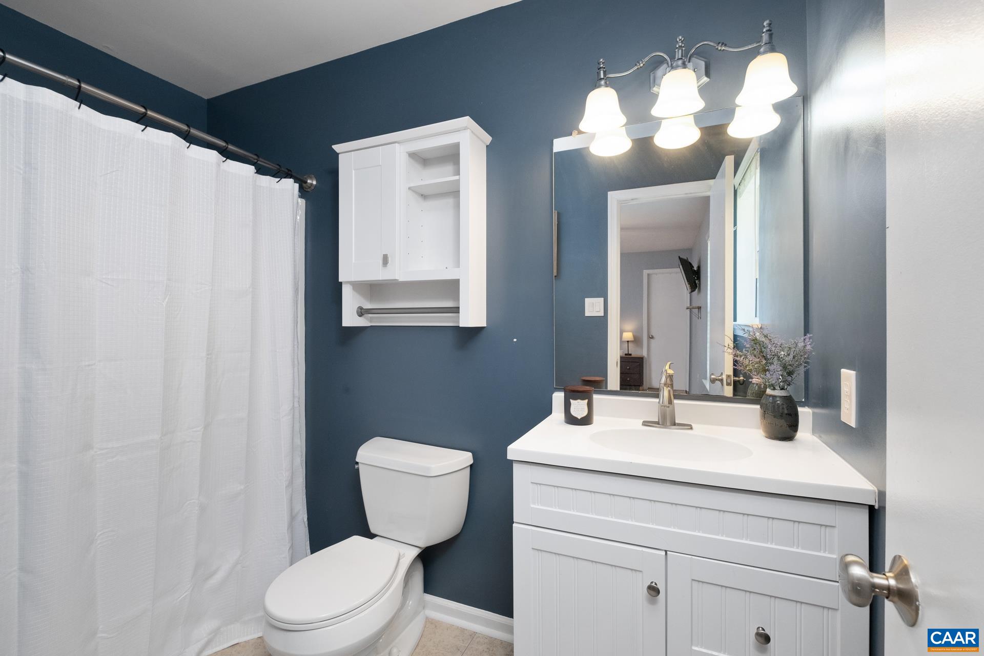 793 Geranium Road Ruckersville, VA 22968 - Photo 13 of 31 a bathroom with a toilet a sink and a mirror