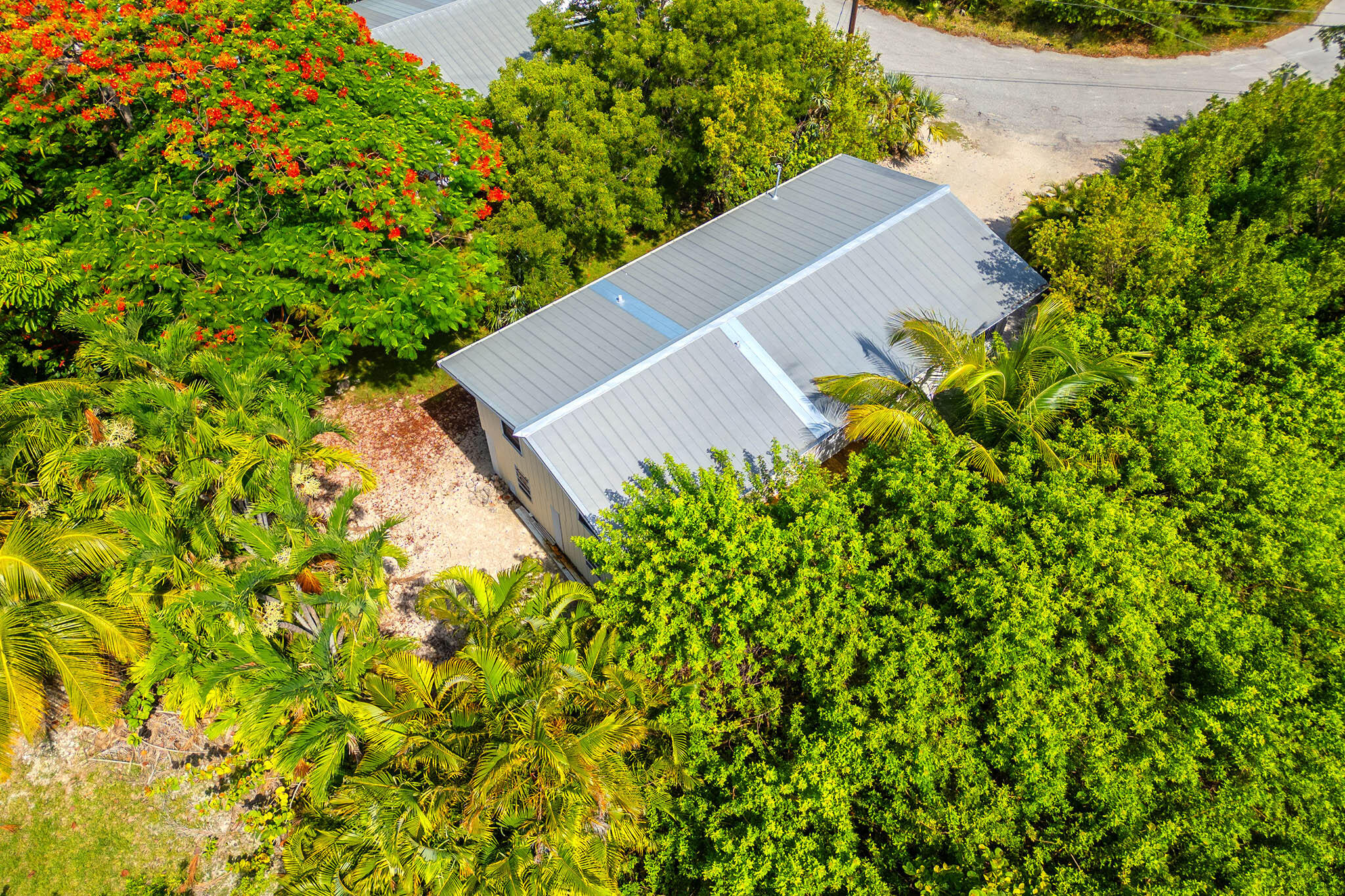 29951 Pine Channel Road Big Pine Key, FL 33043 - Photo 9 of 61 a view of a tree with a yard