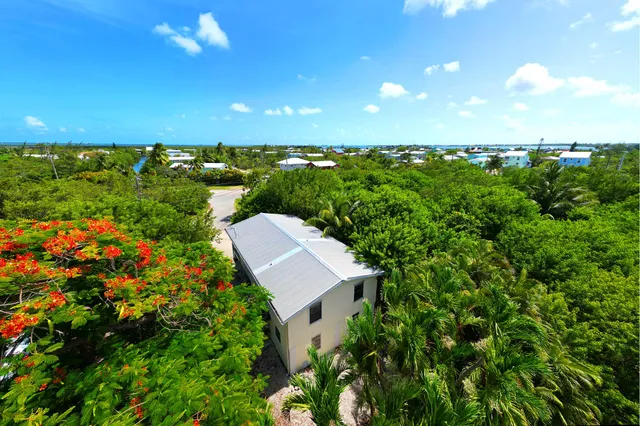 a house with trees in front of it