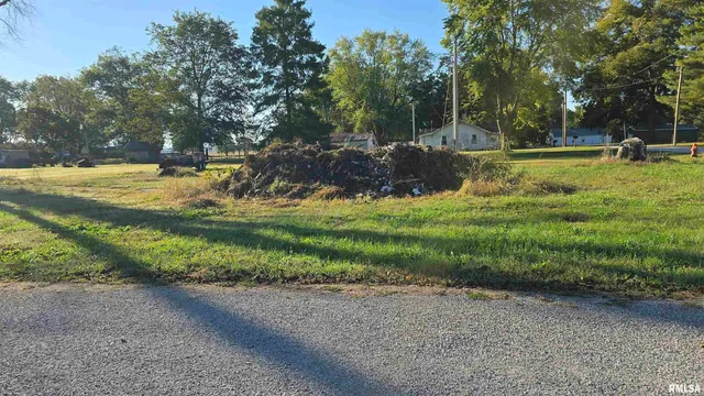 a view of a park with large trees