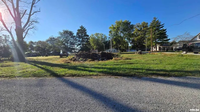 a view of a park with large trees