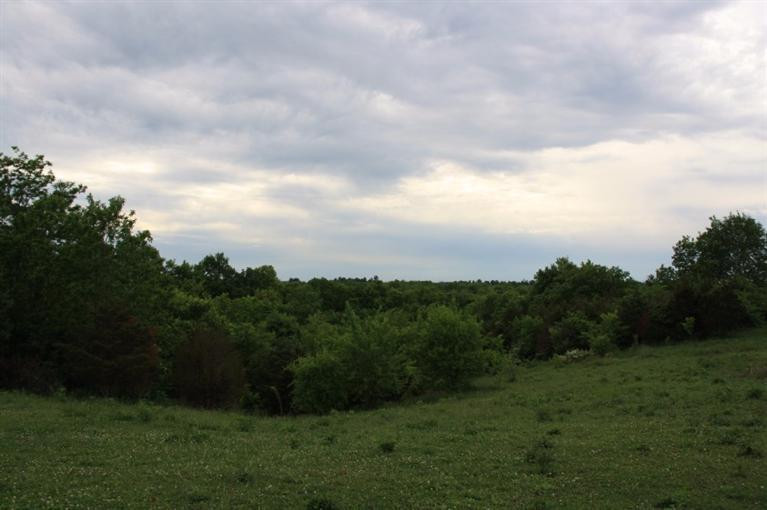 1640 Cane Run Road Carlisle, KY 40311 - Photo 7 of 32 Photo 7