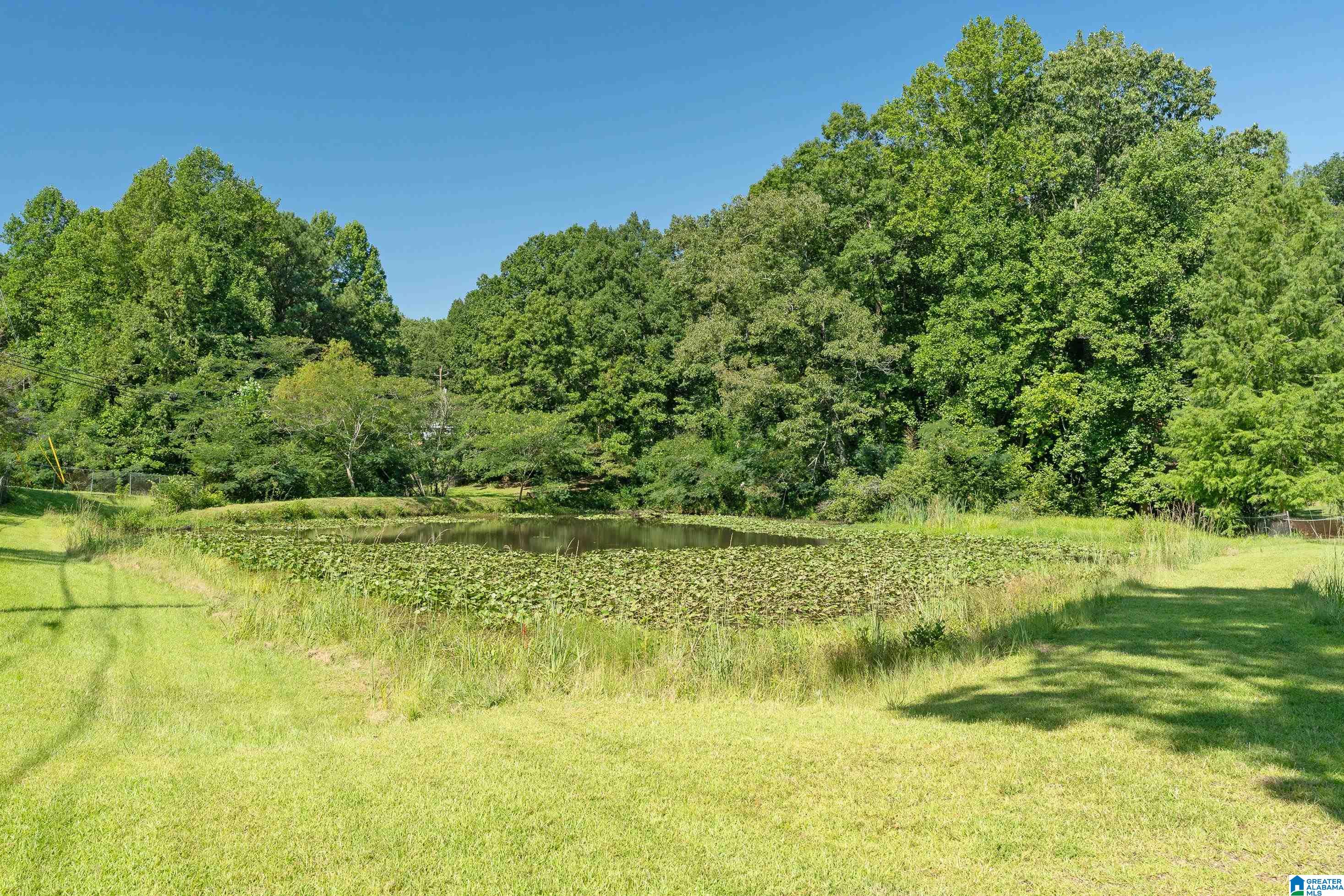 3392 Queenstown Road Trussville, AL 35173 - Photo 13 of 69