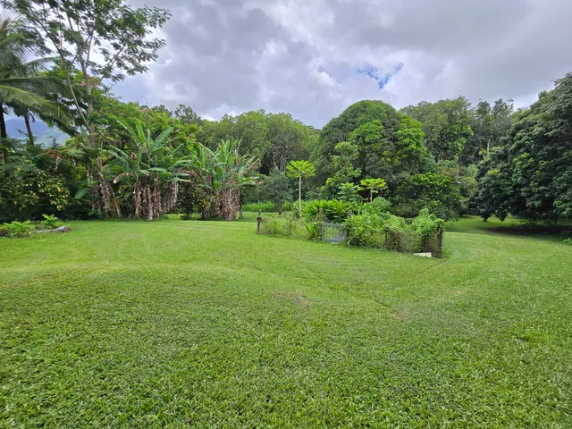 a view of a garden with a building in the background