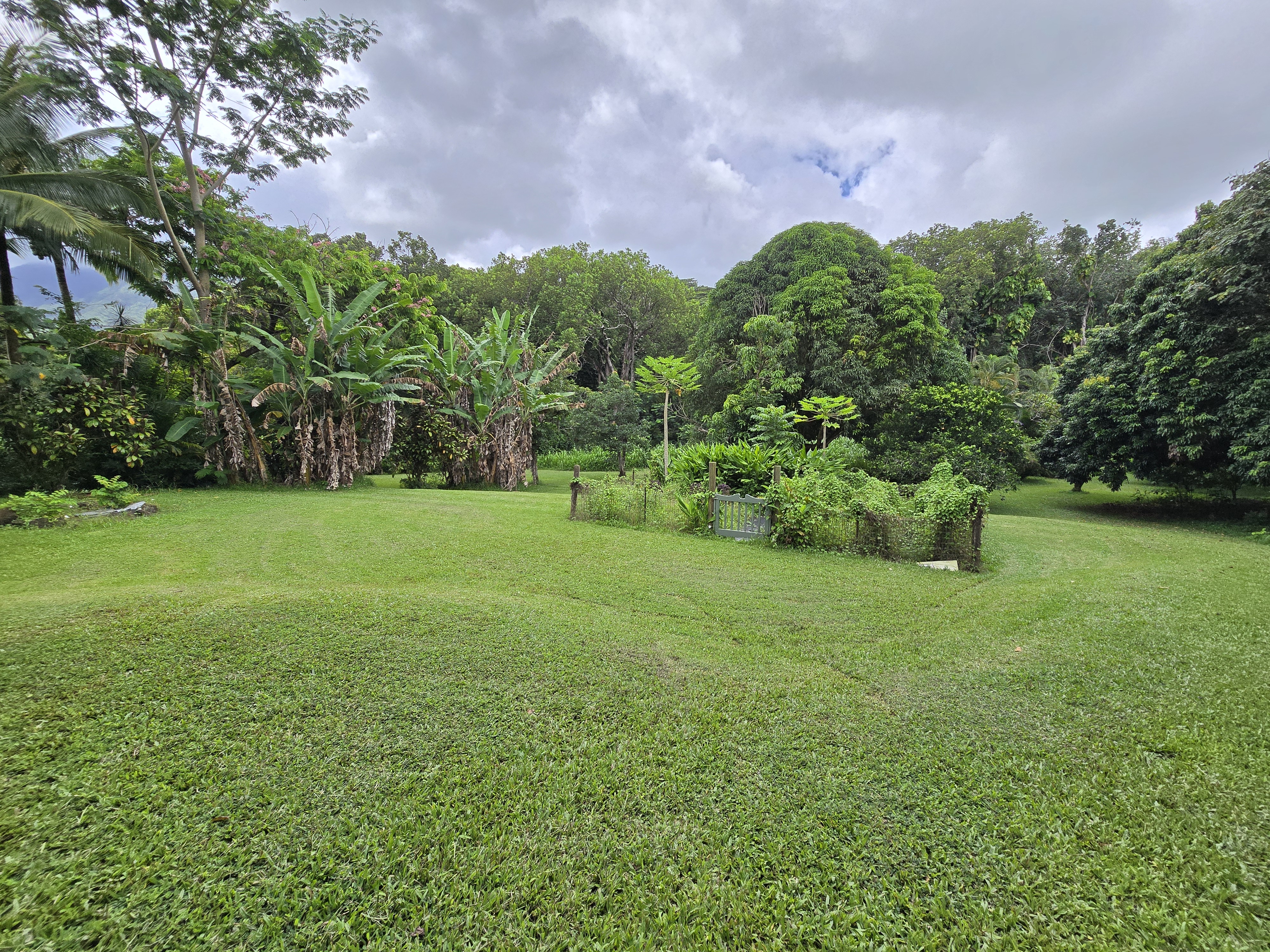 6562 Kahuna Road Kapaa, HI 96746 - Photo 14 of 14 a view of a garden with a building in the background