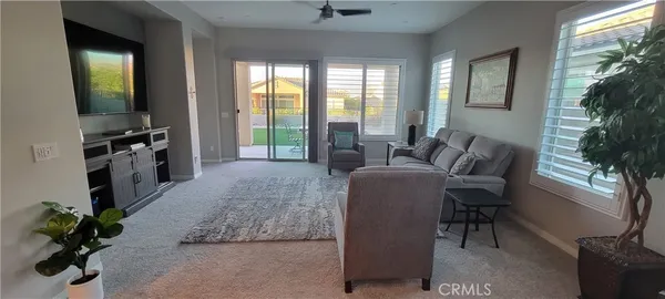 a living room with furniture potted plant and a flat screen tv