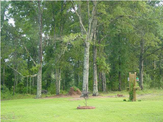1475 Tedder Road Century, FL 32535 - Photo 7 of 24 WOODS AND GREEN GRASS
