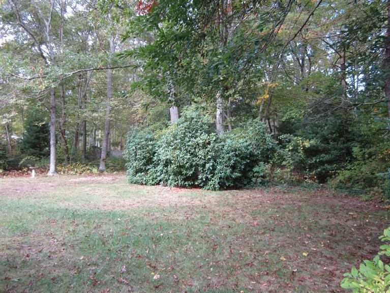18 Birchill Road Centerville, MA 02632 - Photo 18 of 18 a view of a field with plants and trees