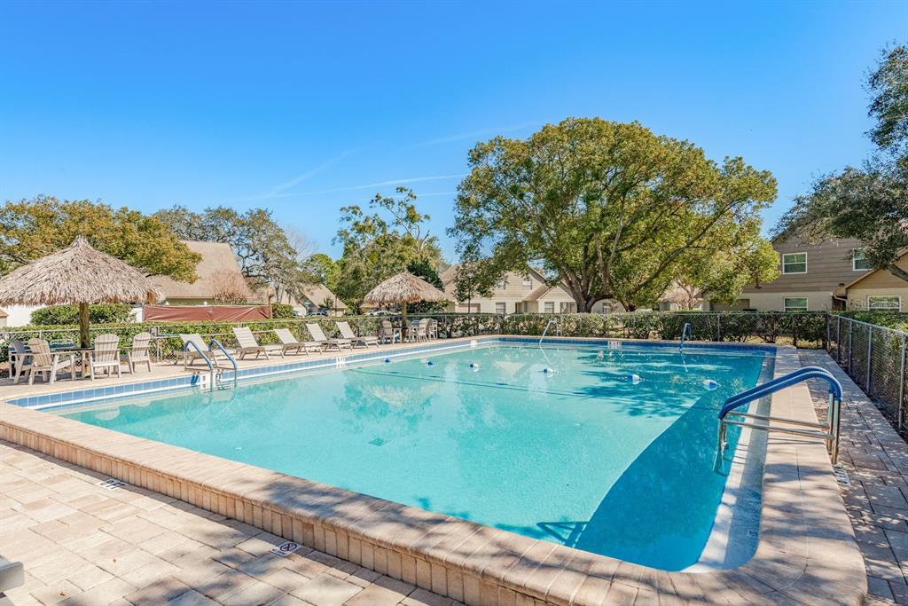 3413 Rochelle Court Clearwater, FL 33761 - Photo 26 of 29