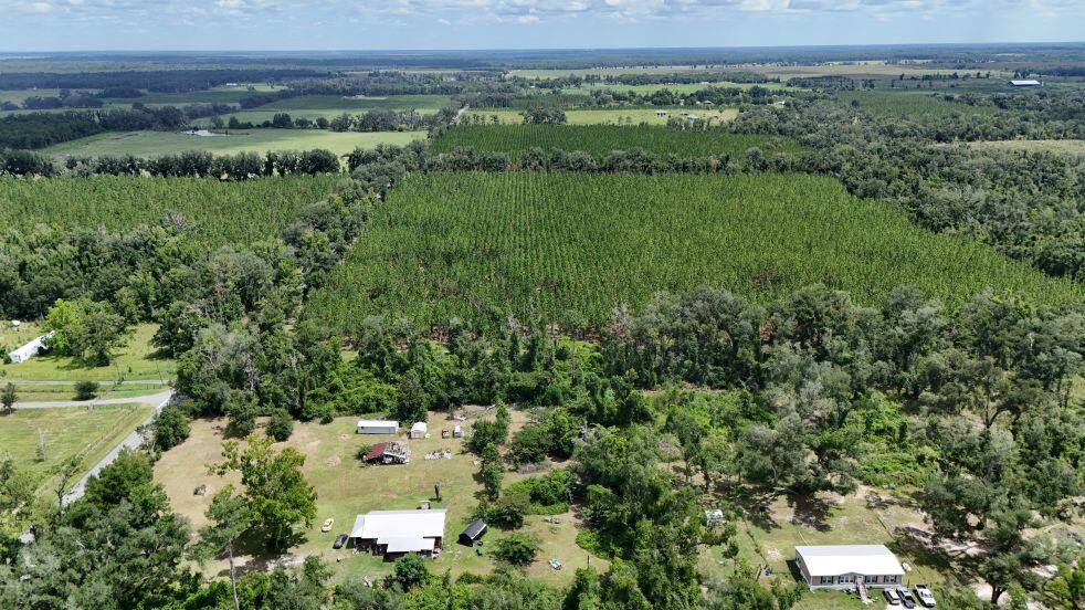 0 185th Road Live Oak, FL 32060 - Photo 18 of 22 19
