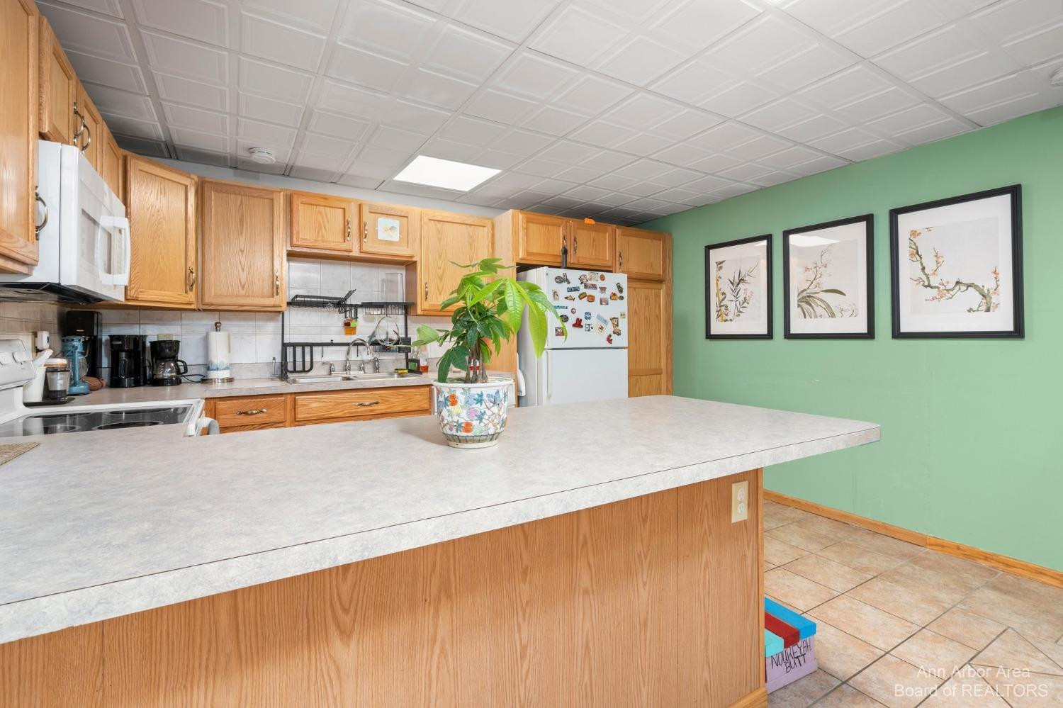570 North Maple Road Ann Arbor, MI 48103 - Photo 35 of 58 Photo 35