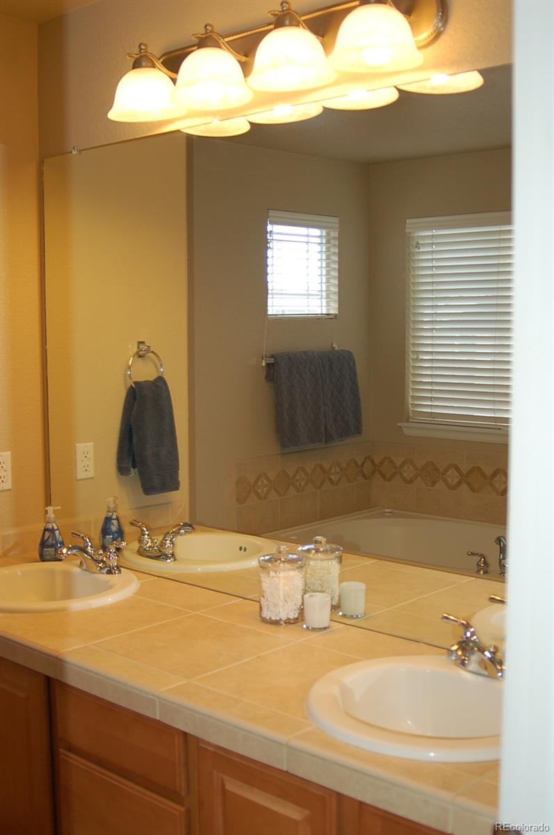 10791 Hickory Ridge Street Highlands Ranch, CO 80126 - Photo 11 of 35 Gallery Image 11