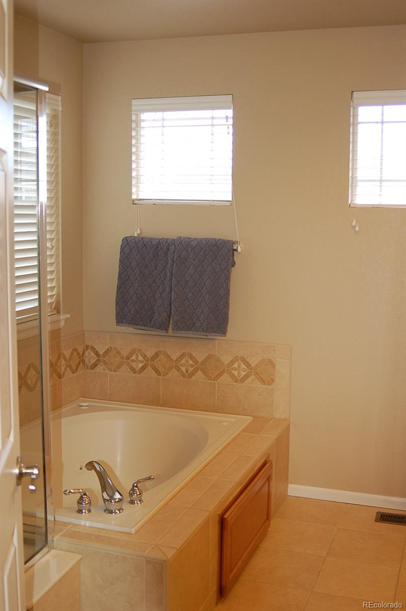 10791 Hickory Ridge Street Highlands Ranch, CO 80126 - Photo 10 of 35 Gallery Image 10
