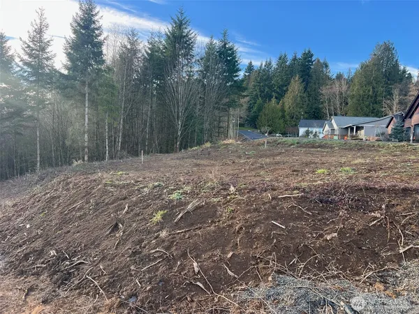 a view of a backyard with trees