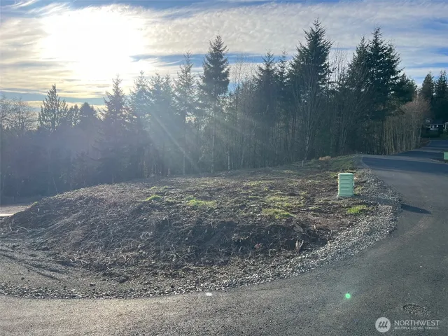a view of a backyard of the house