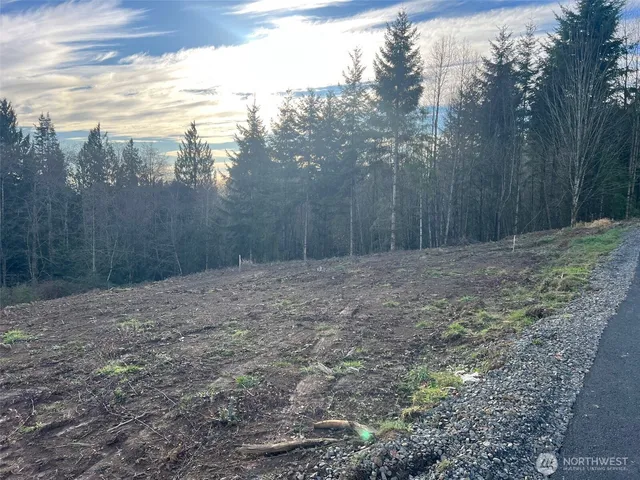 a view of backyard with green space