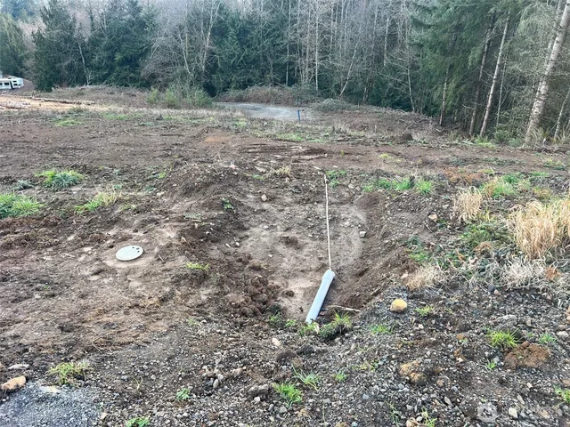 a view of a dry yard with trees