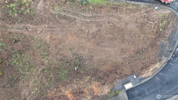 a view of dirt yard with a large tree