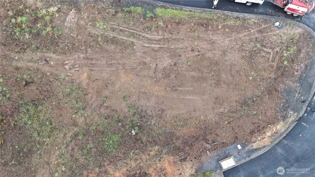 a view of a yard with plants and trees
