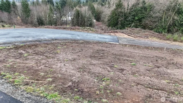 a view of a yard with a tree