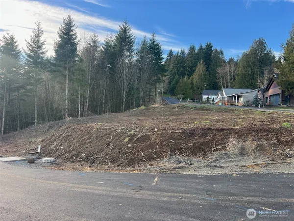a view of a yard with large trees