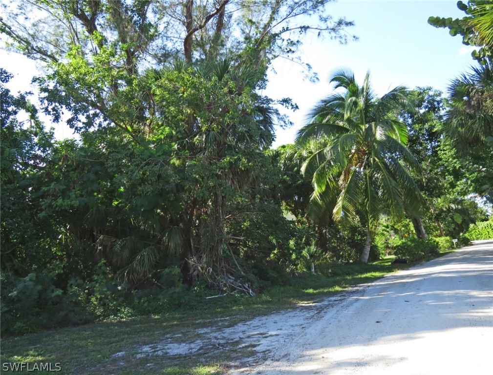 5847 Pine Tree Drive Sanibel, FL 33957 - Photo 12 of 20 a view of a yard