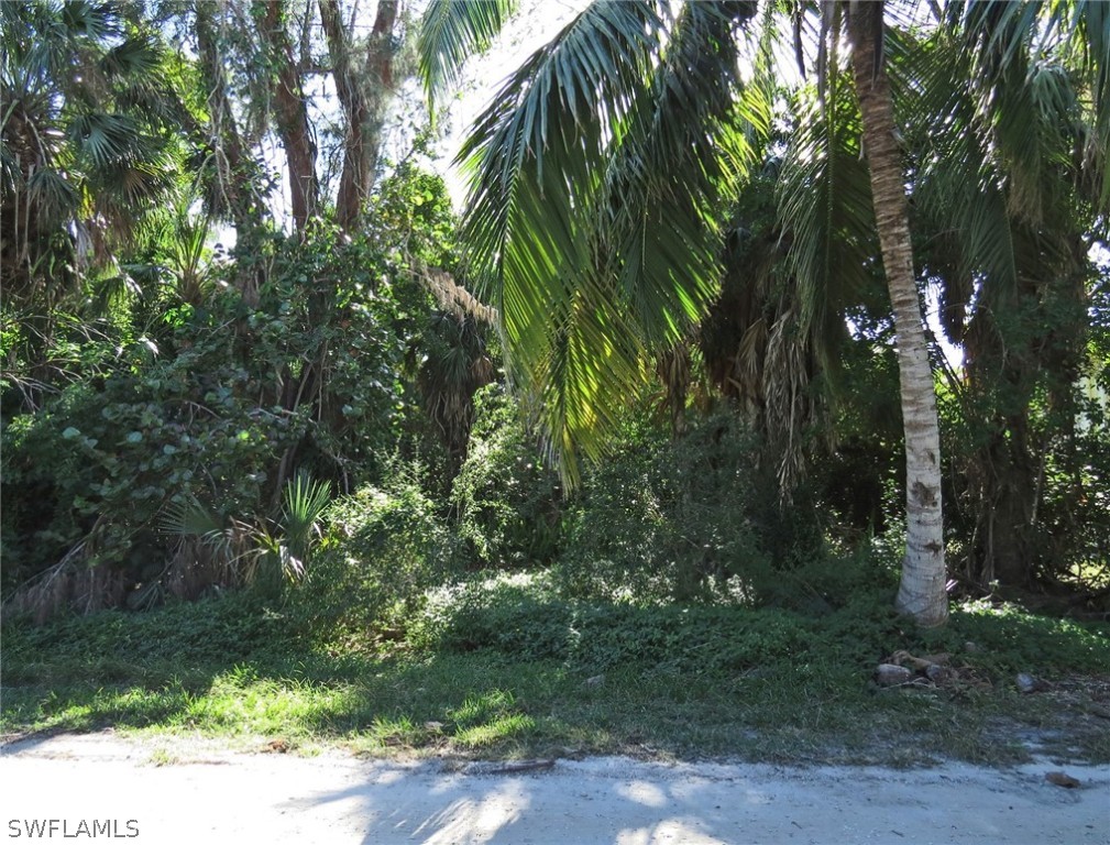 5847 Pine Tree Drive Sanibel, FL 33957 - Photo 2 of 20 a backyard of a house with lots of trees