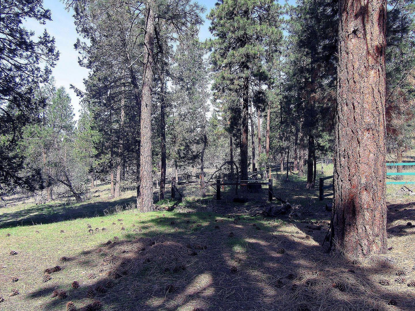 28045 Petersteiner Road Bonanza, OR 97623 - Photo 23 of 33 Additional Photo
