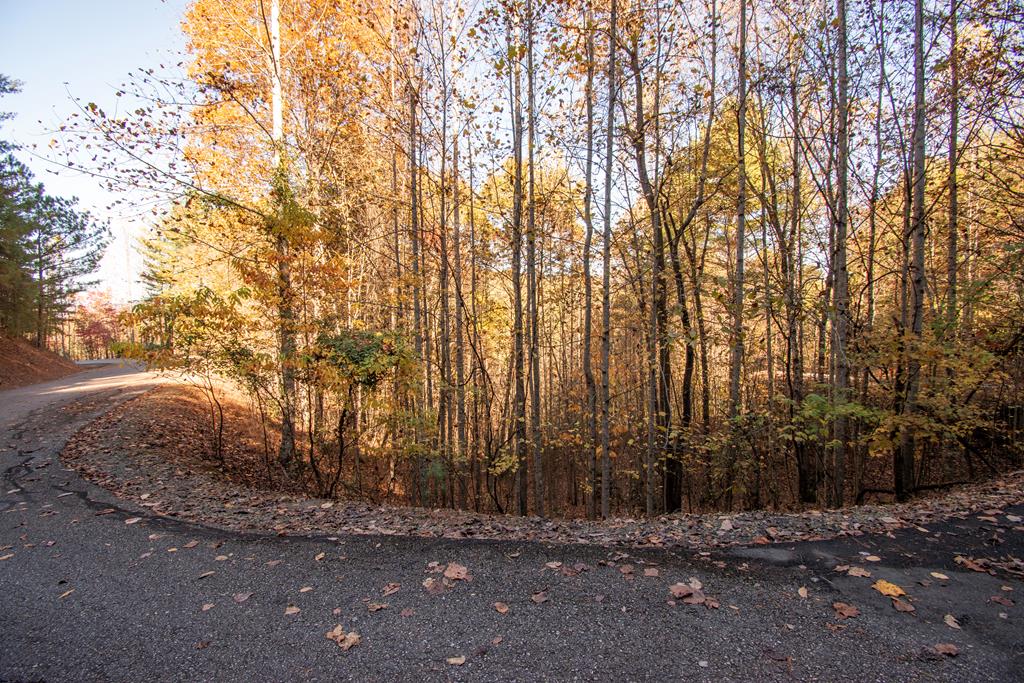 Lot 66 Choctaw Rdg Trail Murphy, NC 28906 - Photo 1 of 11 a view of road and trees