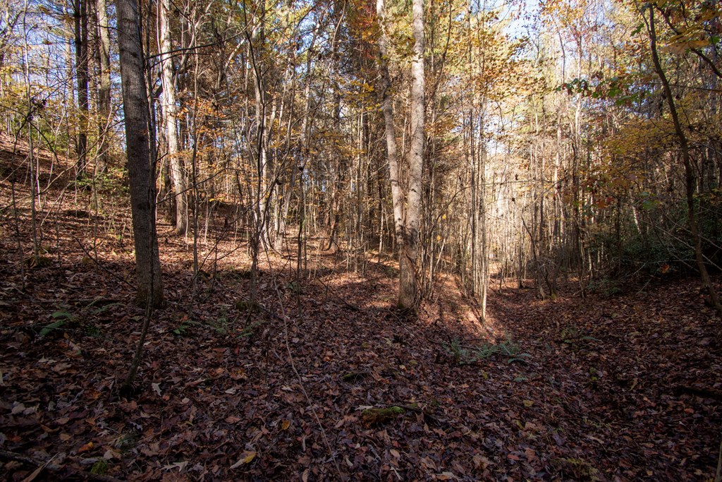 Lot 66 Choctaw Rdg Trail Murphy, NC 28906 - Photo 9 of 11 a view of yard